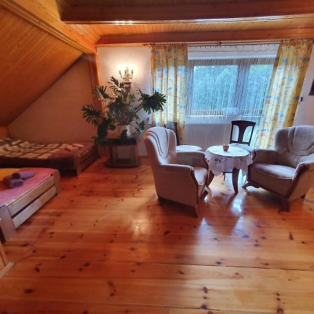 Agroturystyka Las I Woda Prazmow Extérieur photo