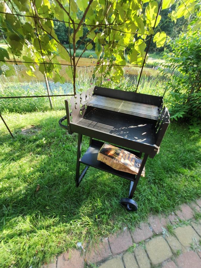 Agroturystyka Las I Woda Prazmow Extérieur photo