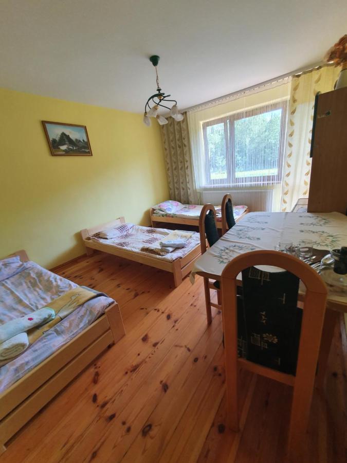 Agroturystyka Las I Woda Prazmow Extérieur photo
